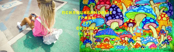 винт Балахна