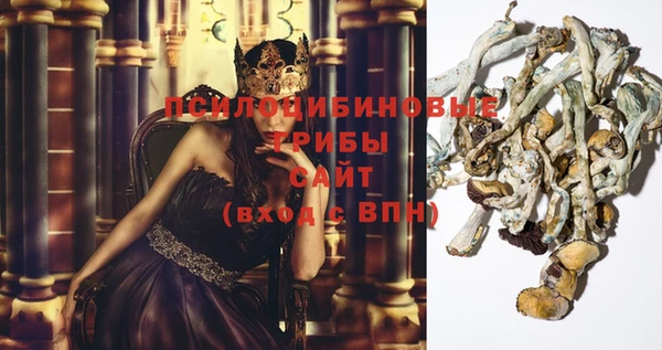 винт Балахна