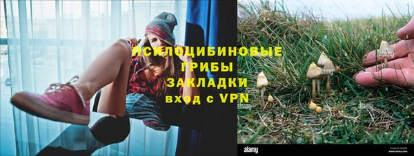 тгк Баксан