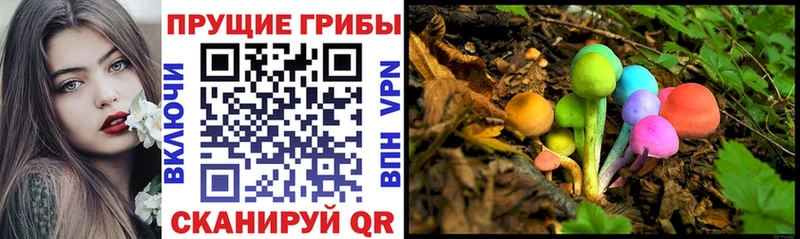 Галлюциногенные грибы Psilocybine cubensis  Покровск 